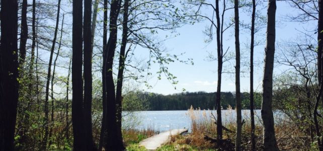 Frühlings Yoga Retreat Gutshof Woldzegarten vom 20. – 22.03.2020 Frühlings Yoga Retreat Gutshof Woldzegarten vom 20. – 22.03.2020