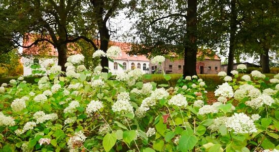 Yoga Retreat Kavaliershaus Finckenersee 10.- 13. März 2022 Yoga Retreat Kavaliershaus Finckenersee 10.- 13. März 2022