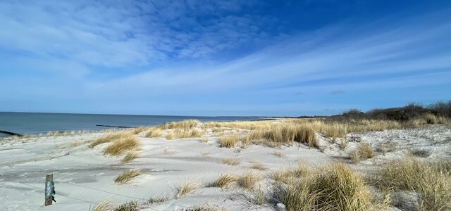Yoga Retreat an der Ostsee in Ahrenshoop – Vinyasa & Yin Yoga im The Grand